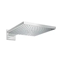 Hansgrohe Raindance ruža tuša e 300 26238000