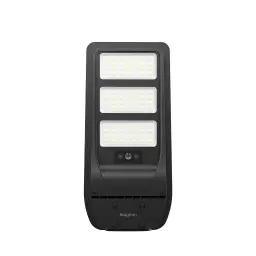 Braytron Solarna Ulična Svetiljka 50W BT43-05031