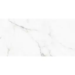 Lavish GREYLAC 60x120