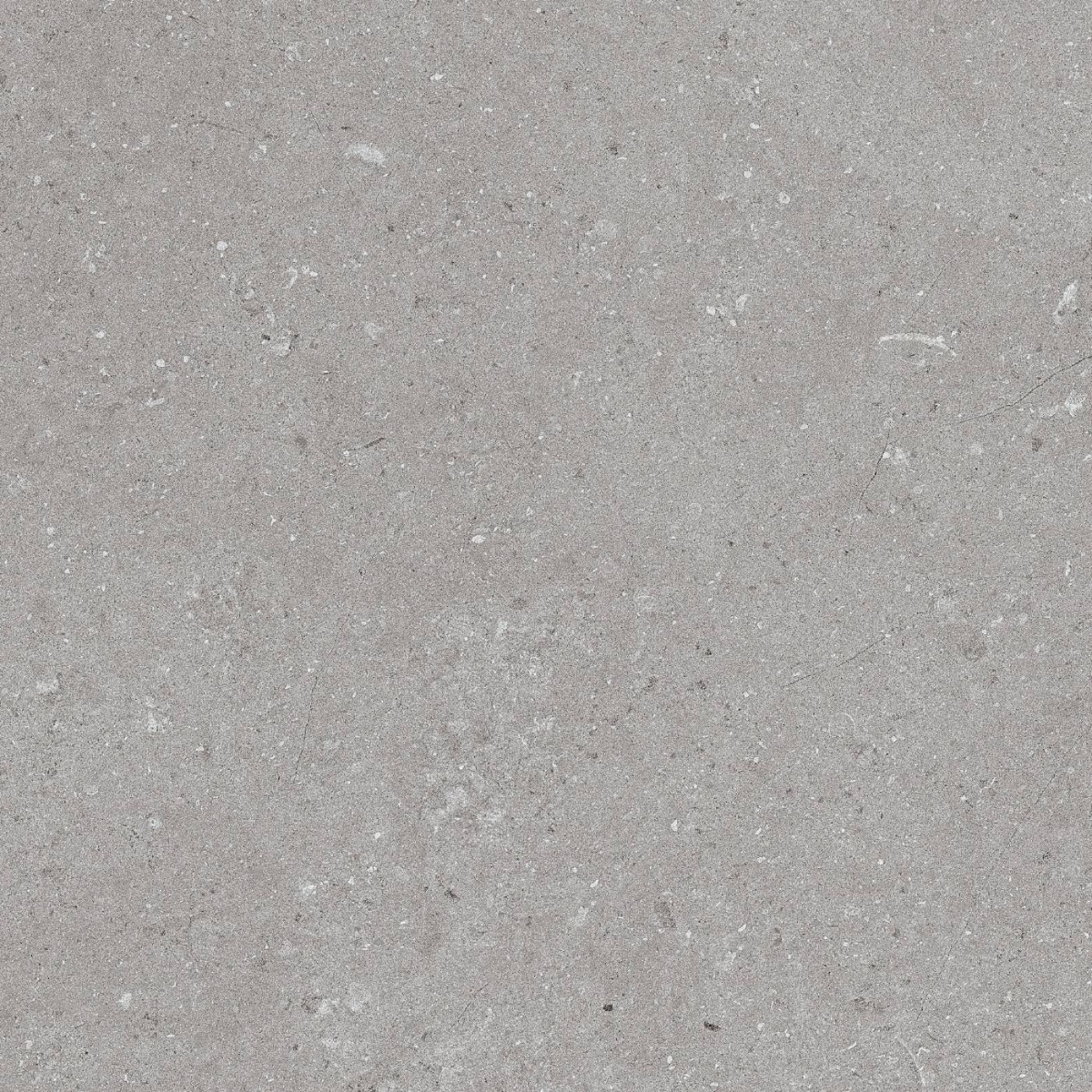 Zorka Natural Grigio 60x60 9mm R9