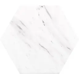 Carrara Hex 25 250x220 Akl. 1.04