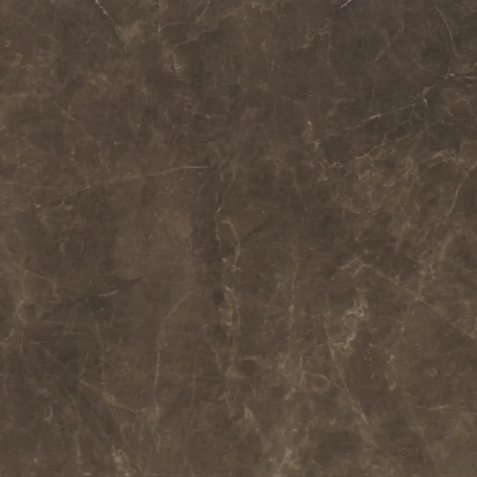 Argenta ACRA dark shine 60x60 M02 03 (P/Z)