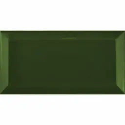 Fabresa Fabresa Biselado VERDE BOTELLA BX 10x20