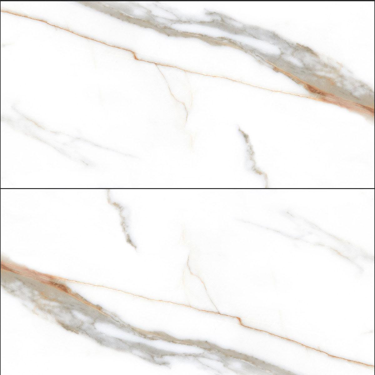 Atlas White 25×50