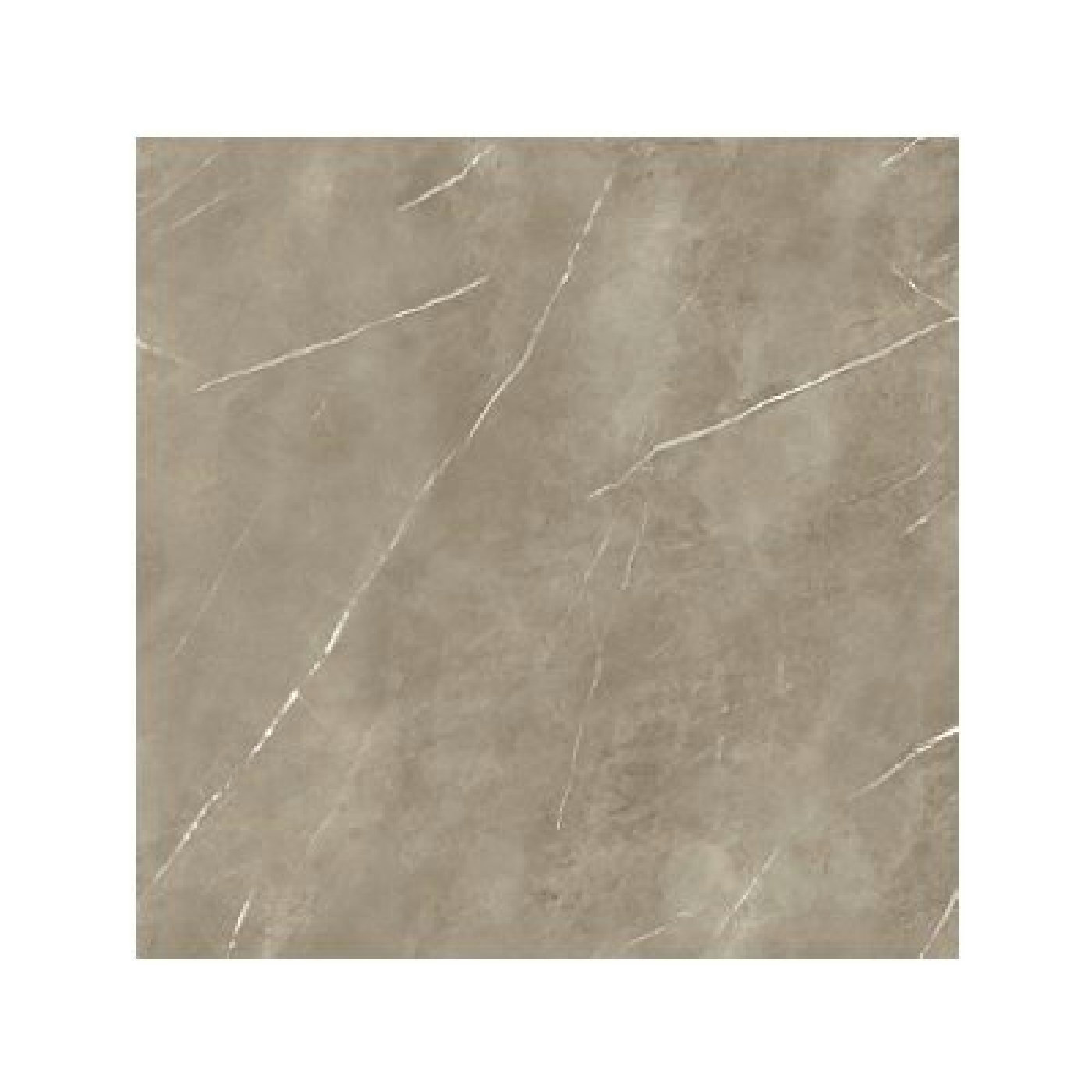Energieker PETRA Taupe 60x60 L TILES