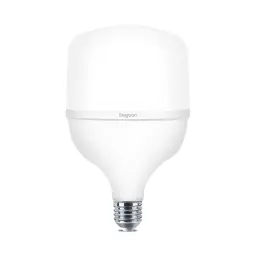 Braytron LED Sijalica T T80 20W E27 6500K BA13-32023