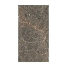 Lavish EMPERADOR BROWN 60x120