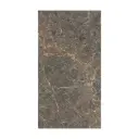 Lavish EMPERADOR BROWN 60x120