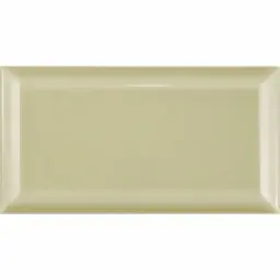 Fabresa Fabresa Biselado SALVIA BX 10x20