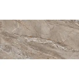Silica Brown 60x120cm