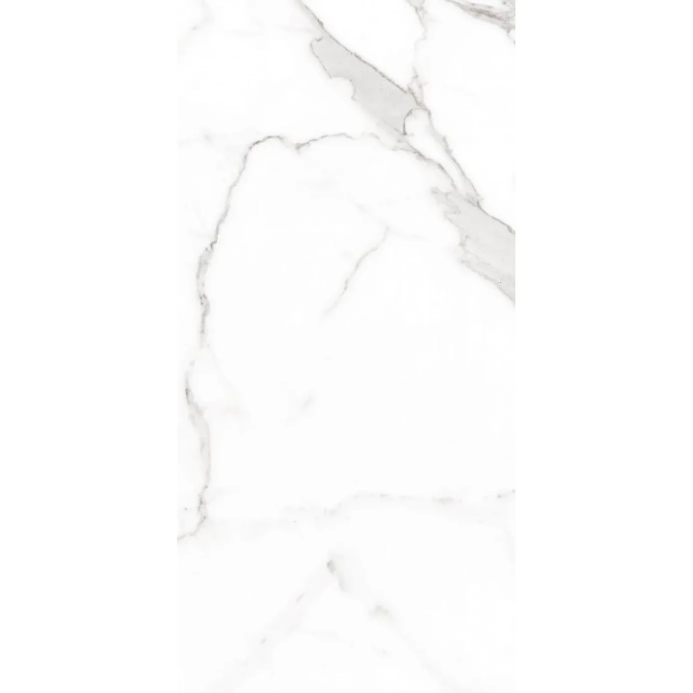 Halcon Ceramicas PALATINA blanco mate 60x120 rett C04 0R (P)