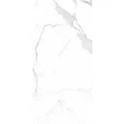 Halcon Ceramicas PALATINA blanco mate 60x120 rett C04 0R (P)