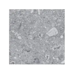 Energieker CEPPO Grigio 60x60 L TILES