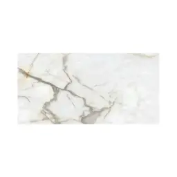 Halcon Ceramicas Vintage gold Mate 60x120 M80