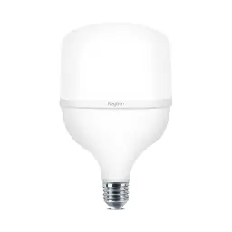 Braytron LED Sijalica T T140 50W E27 4000K BA13-35021