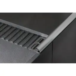 TR-2012 mat silver